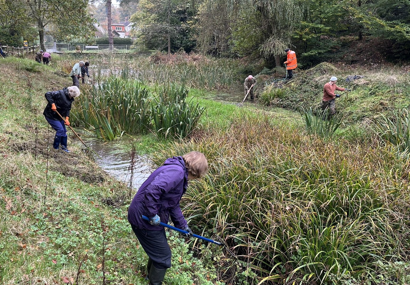 Work Party 2 Grass Raking Fullers Vale Wildlife Pond Association